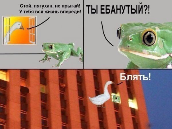 Отупляющие приколы