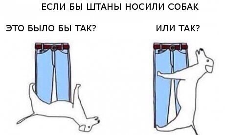 Юмор не для всех