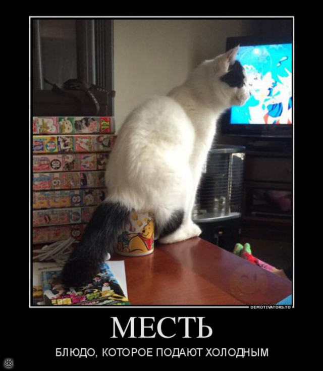 Фото-винегрет на субботу
