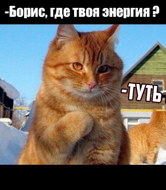 Подборка интересных и веселых картинок