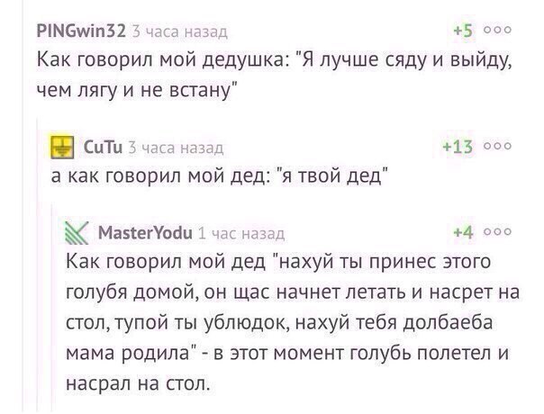 Голубь с полным наркотиками рюкзаком задержан в Кувейте