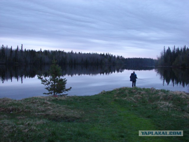 Летний отдых на море