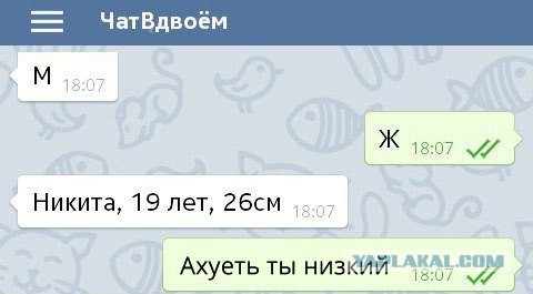 150 картинок для поднятия настроения!
