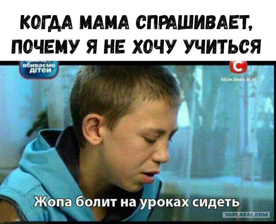 Моя Жопа Болит