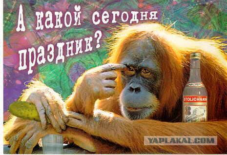 Как я был алкоголиком