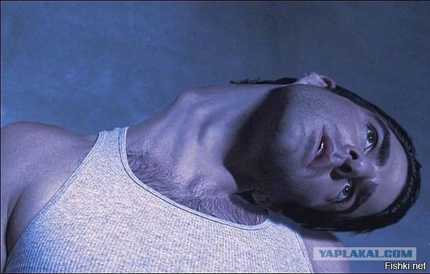 Деньги горят на деньгах. Комбайн Торум 740