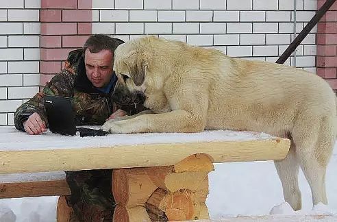 Милые животные. Мимиметр сломался