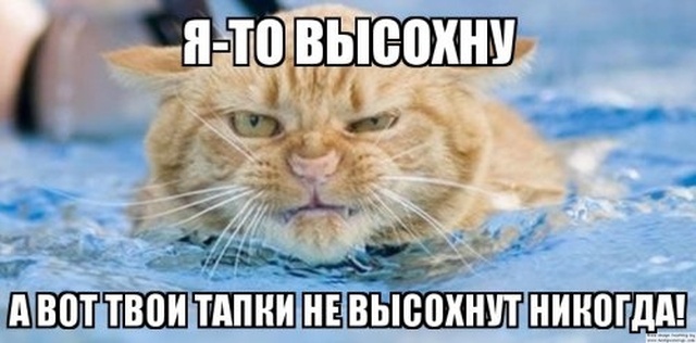 Немного милоты