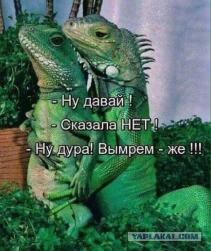 Картинок пост
