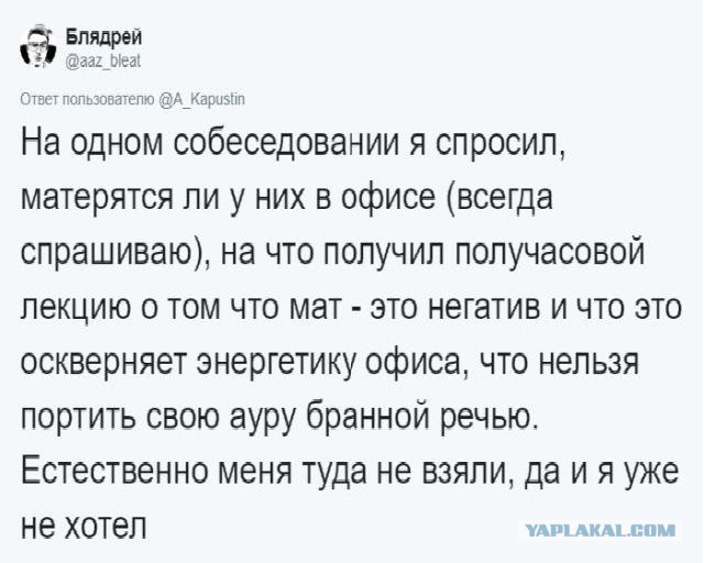 Прикольные моменты на собеседованиях