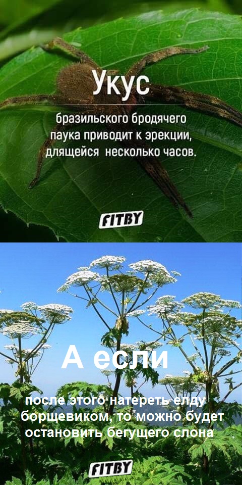 Смешные комментарии из социальных сетей 08.05.2019