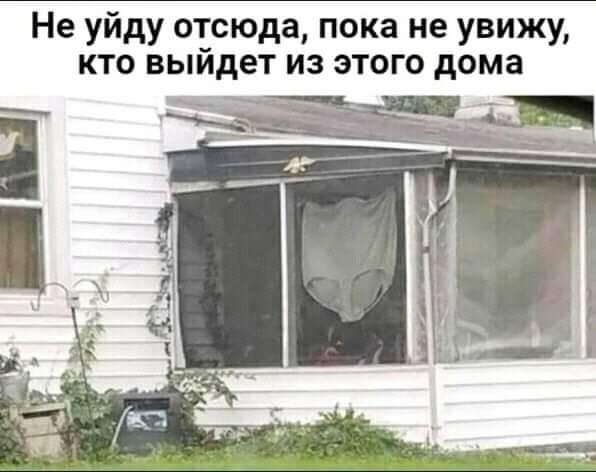 14096663.jpg