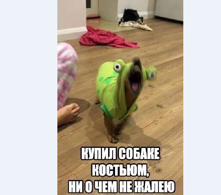 15361663.jpg