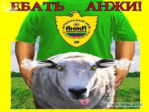 Обычный болельщик "Анжи"