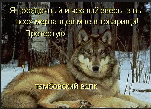 Почему «Хаббл» видит Плутон, но не видит «Аполлон»?