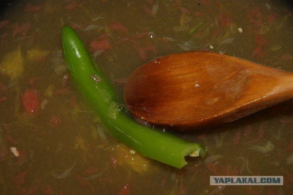 Ноги, хвосты… главное – крылья!, Кура-International–2, куриные крылья