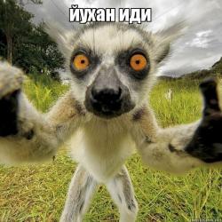 Яндекс маркет