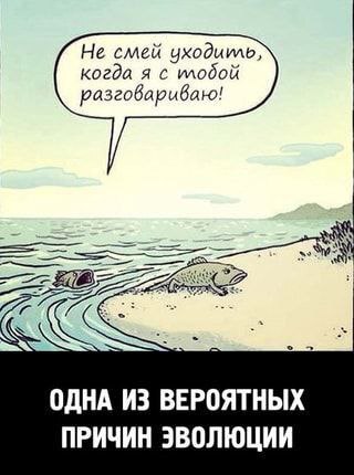 Забавные комментарии из социальных сетей (11.09.23)