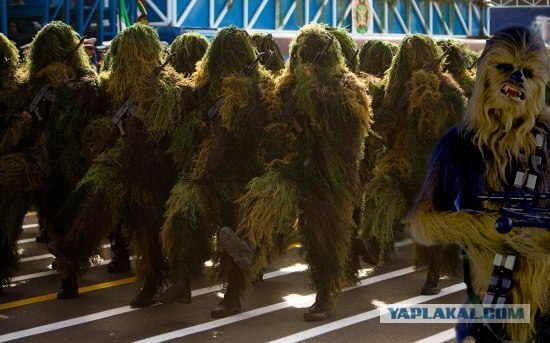 Кто шагает дружно в ряд?