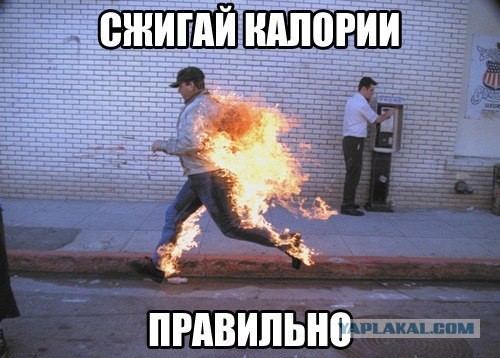 Гребаный живот!