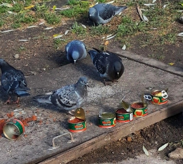А що с яйцом?! Их стали мало есть?