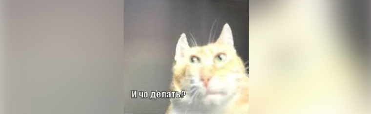 Как быстро привыкаешь к хорошему