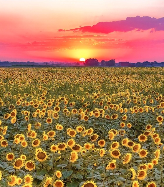 Так всякие картинки