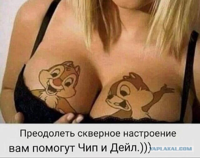 Картинки для деградации 121 (разной степени свежести)