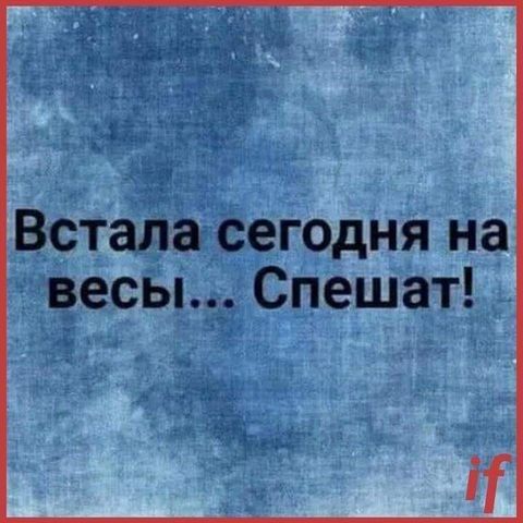Веселые картинки в понедельник