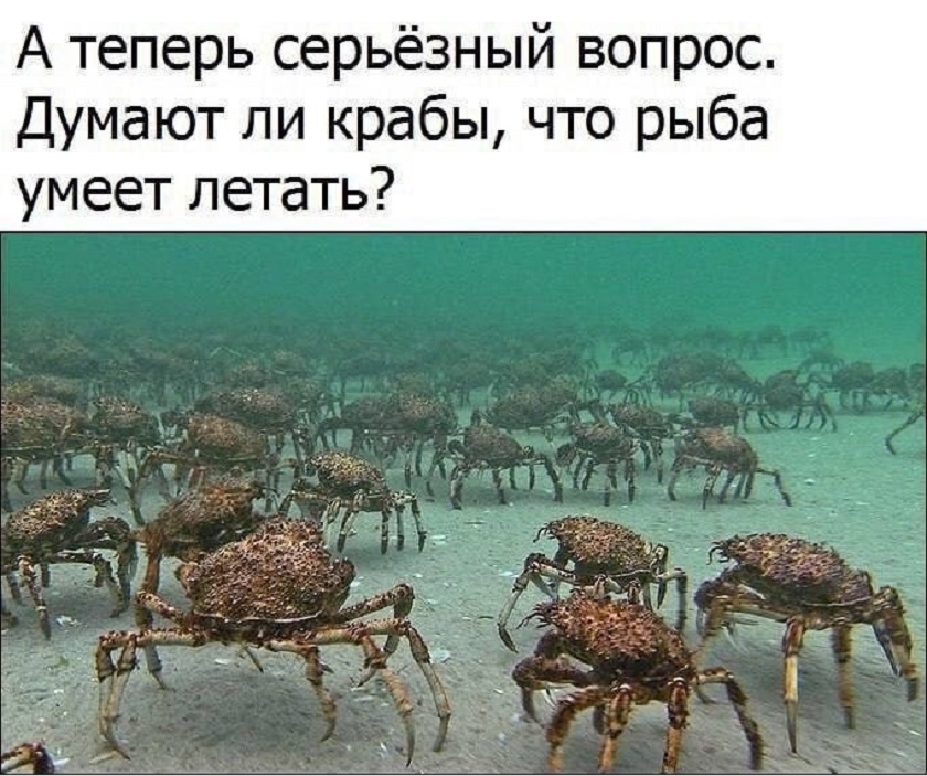 20751663.jpg