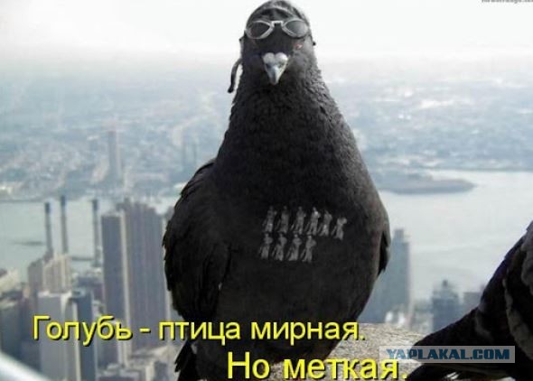 Не пойму, зачем?