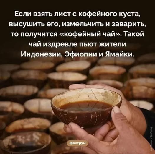 Картинки для деградации 224 (разной степени свежести)