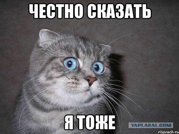 Воронка съела деревья