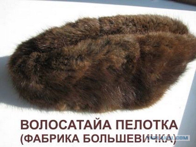 Волосатая пелотка