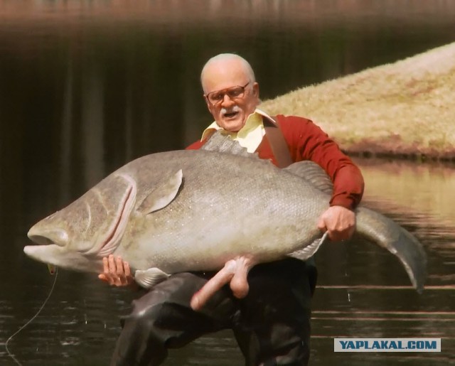 Прикольные картинки