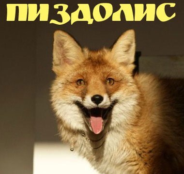 Воспитание в метро