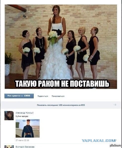 Свежие картинки из сети