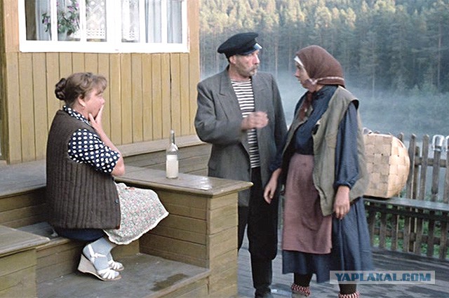 Легендарному фильму «Любовь и голуби» - 30 лет