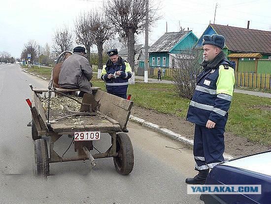 Веселые картинки на пятницу