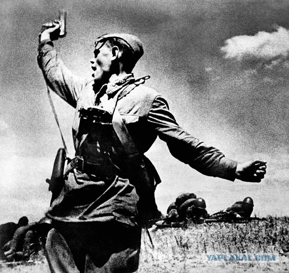 Жизнь как она есть...