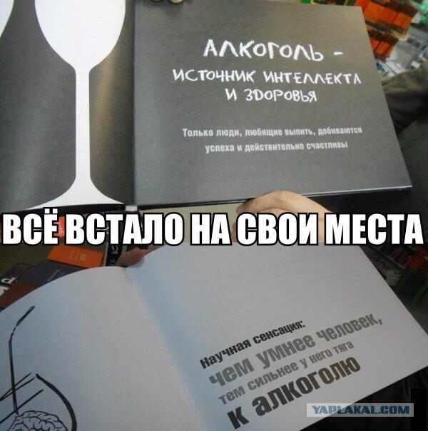 50 Фактов о том, что алкоголь не только вреден