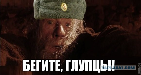 Самый большой боевой Двуручный меч