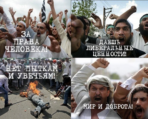 Мигранты насилуют и грабят немок