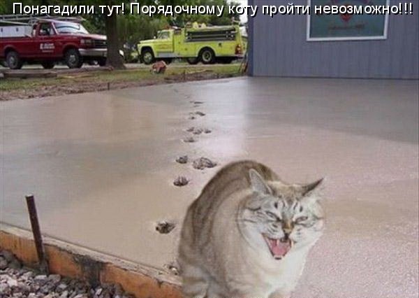 На Керченском мосту началось строительство проезжей части