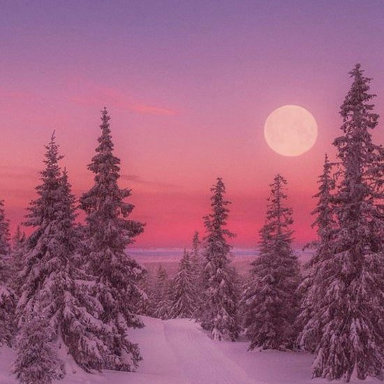 Моменты, запечатлённые на фото и просто позитив 5