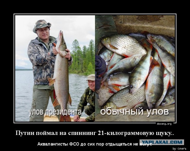 Рыбакам-любителям могут ограничить объем улова