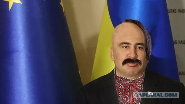 В Европе нашли «удобный» выход: отправить всех беженцев в Украину