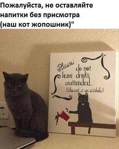 100 картинок для поднятия настроения!