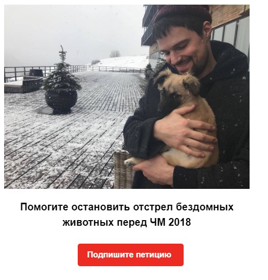 В Вологде стая собак разорвала 15-летнюю девушку