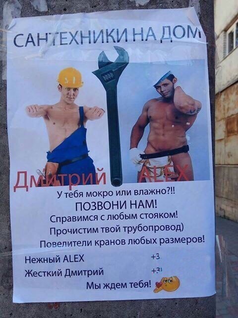 Итоги проверки пользователей